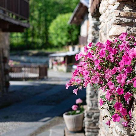 Il Sogno Della Vita Agriresort - Country Rooms & Suites Peveragno Kültér fotó