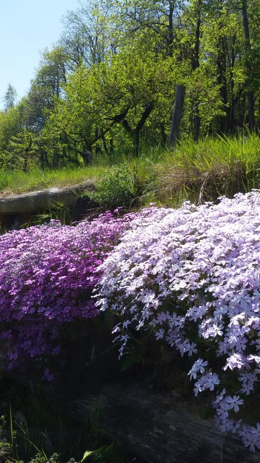 Il Sogno Della Vita Agriresort - Country Rooms & Suites Peveragno Kültér fotó