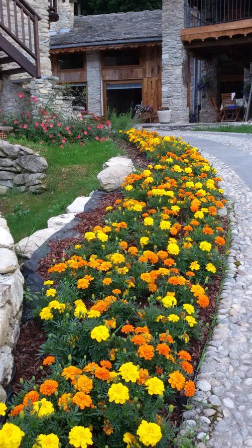 Il Sogno Della Vita Agriresort - Country Rooms & Suites Peveragno Kültér fotó